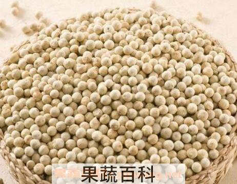 黑胡椒和白胡椒的区别 胡椒的功效