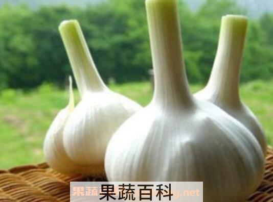 吃大蒜的好处有哪些 吃大蒜的坏处
