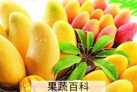 芒果不能和什么一起吃 