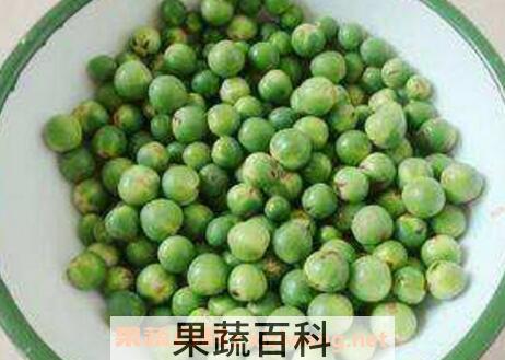 苦子果的功效和作用 苦子果的食用方法
