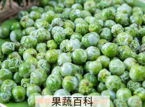 苦子果的功效和作用 苦子果的食用方法