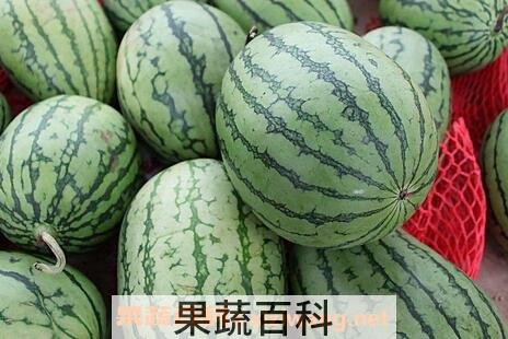 怎样判断西瓜是否成熟