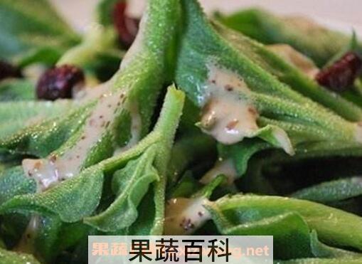 冰草怎么吃 冰草什么人群不能食用
