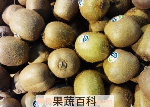 孕妇每天吃奇异果的好处和坏处