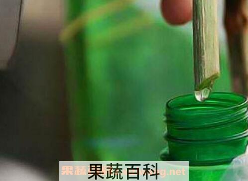 丝瓜水的功效与作用 丝瓜水的副作用