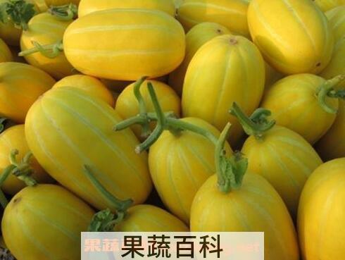  香瓜和什么相克