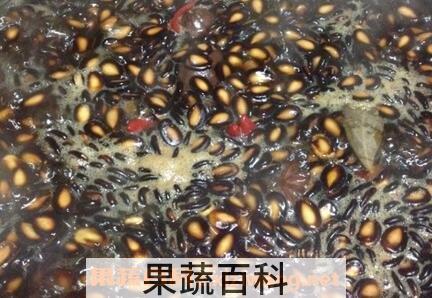 煮西瓜子怎样不粘 