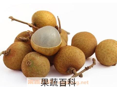桂圆壳的作用与功效与禁忌