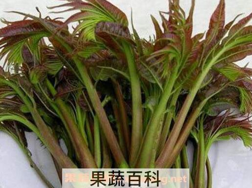 吃香椿的好处有哪些 吃香椿的坏处