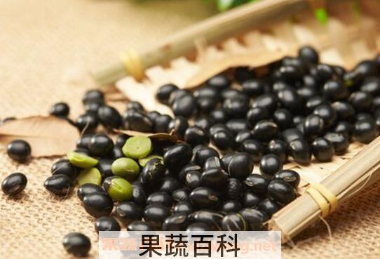 孕期吃黑豆好处和坏处