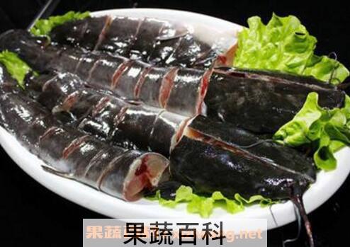 梭边鱼和鲶鱼的区别有哪些 吃梭边鱼对身体有害吗