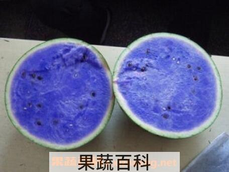 紫瓤西瓜能吃吗 紫瓤西瓜怎么种植