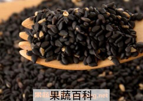 黑芝麻怎么吃最好 黑芝麻的营养吃法