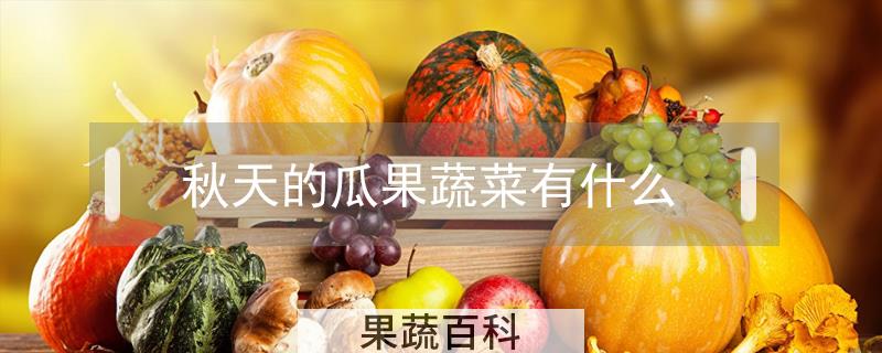 秋天的瓜果蔬菜有什么