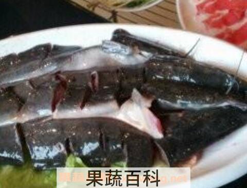 什么是梭边鱼 梭边鱼的功效与作用