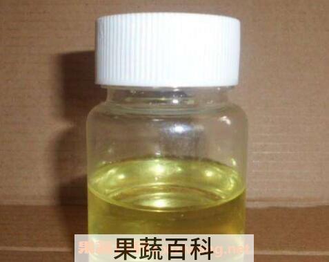 大蒜精油的功效与作用
