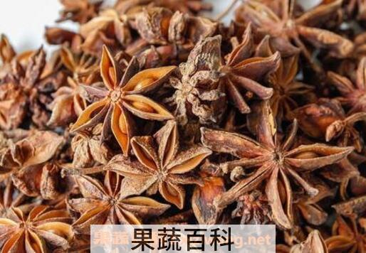 大料是什么调料 大料的功效与作用