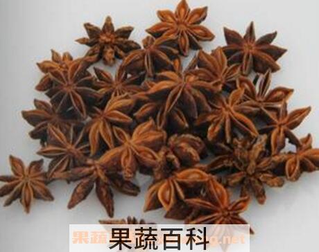 大料是什么调料 大料的功效与作用