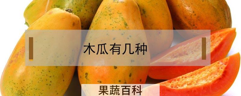 木瓜有几种