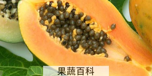 木瓜有几种