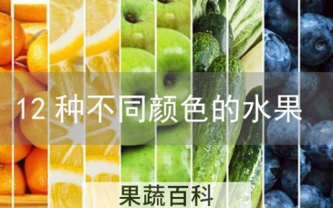 12种不同颜色的水果
