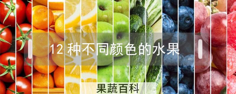 12种不同颜色的水果