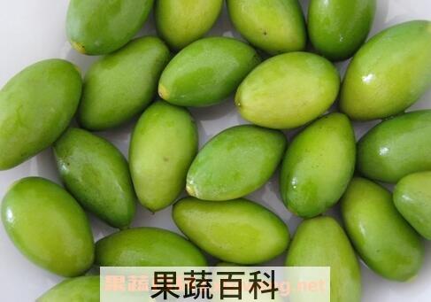 橄榄壳的功效与作用