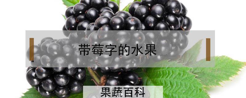 带莓字的水果