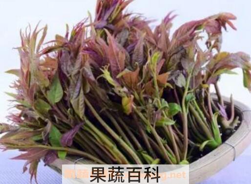 壮阳野菜有哪些 什么野菜补肾壮阳