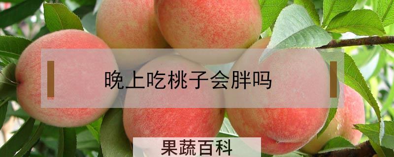 晚上吃桃子会胖吗