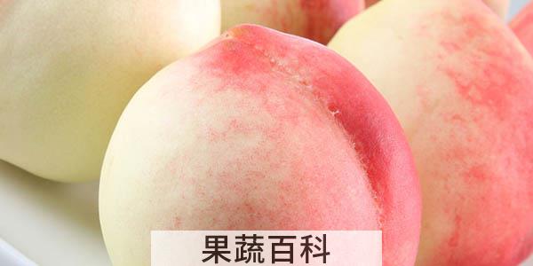 晚上吃桃子会胖吗