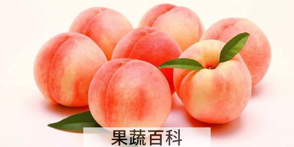 晚上吃桃子会胖吗