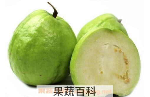 如何判断芭乐有没有熟
