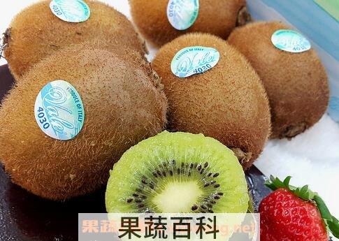 怎样挑奇异果和弥猴桃