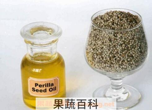 紫苏籽油的功效与作用及营养价值