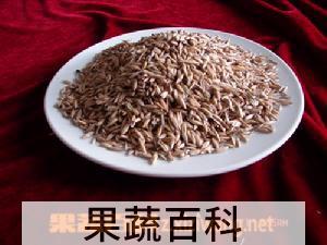 果蔬百科