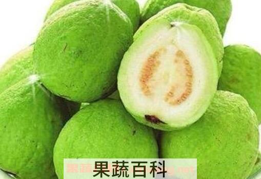 苹果和芭乐能同食吗 