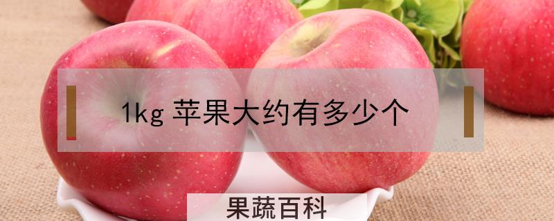 1kg苹果大约有多少个
