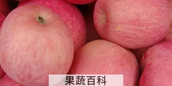 1kg苹果大约有多少个