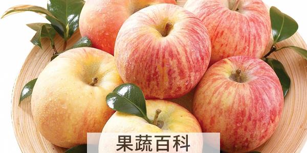 1kg苹果大约有多少个