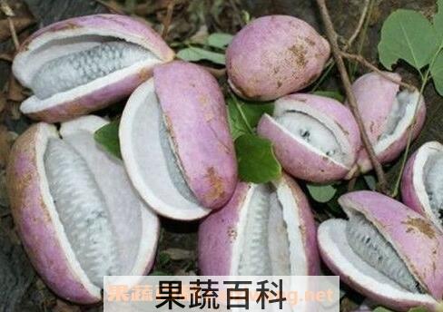 野香蕉干的功效与作用