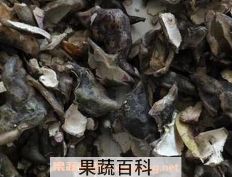 菱角壳的营养价值 菱角壳的药用价值