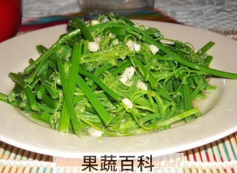 龙须菜是什么菜 龙须菜怎么做好吃