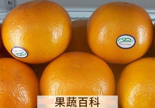 澳洲蜜桔的营养价值