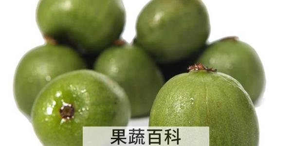 像小猕猴桃的水果叫什么