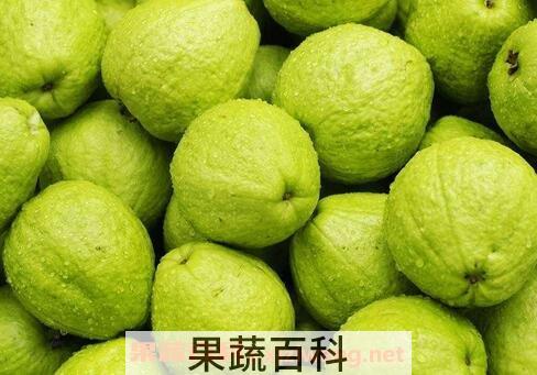 台湾芭乐怎么挑
