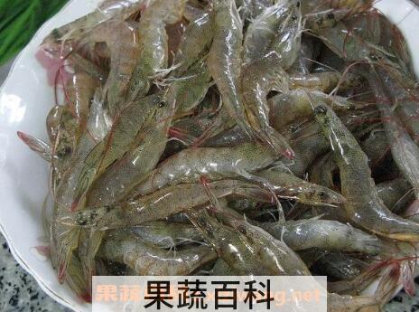 河虾的营养价值及功效