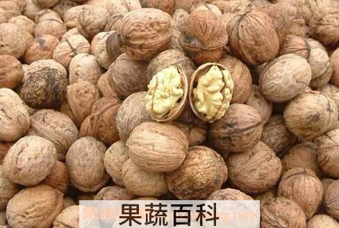 核桃硬壳的功效与作用
