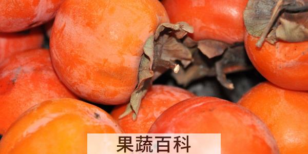 新摘的柿子怎么处理