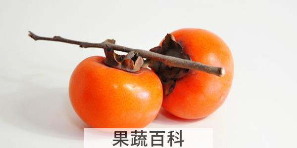 新摘的柿子怎么处理